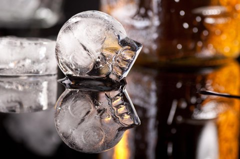 Foremka lodowa - KOŚCI