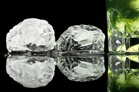 Foremka lodowa - MÓZGI