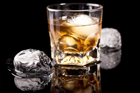 Foremka lodowa - MÓZGI