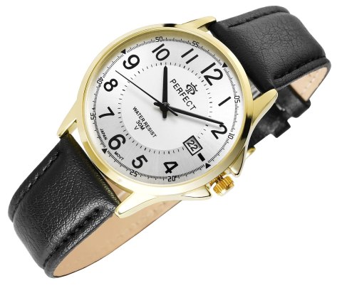 Zegarek Męski PERFECT C710T-09