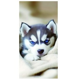 Ręcznik plażowy mikrofibra 100x180 H141