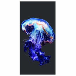 Ręcznik plażowy mikrofibra 100x180 H145