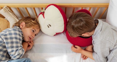 Kosz Jabłko Lorena Canals