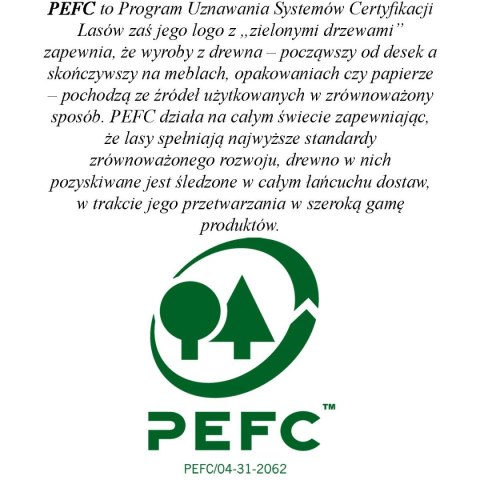 STÓŁ DO TENISA STOŁOWEGO SPONETA S1-43i