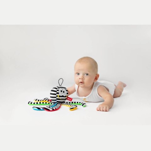 Mini czarno-biała Ośmiornica