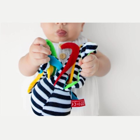 Mini czarno-biała Ośmiornica