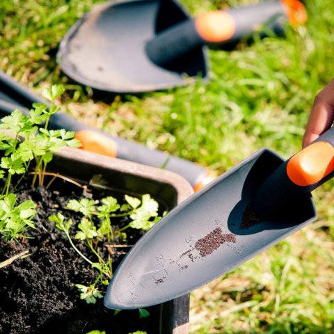 ŁOPATKA OGRODOWA WĄSKA