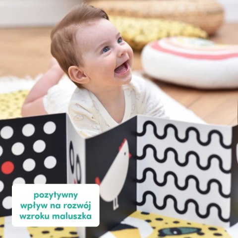 Starter malucha Co widzę 0-3-6 mies.+