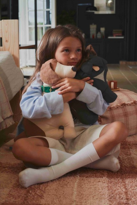 Poduszka Pies Jimmy - Buldog Francuski, Lorena Canals