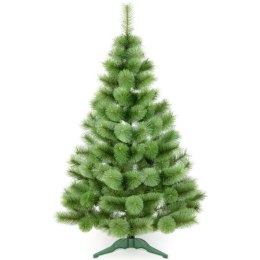CHOINKA ŻYŁKA KLARA NIEROZCZEPIONA 200CM