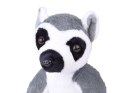 Maskotka duży pluszowy Lemur z Madagaskaru siedzący 27cm 14159
