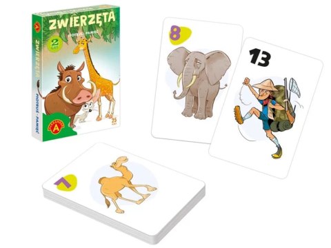 Alexander Karciana gra pamięciowa Karty Piotruś - Zwierzęta GR0808