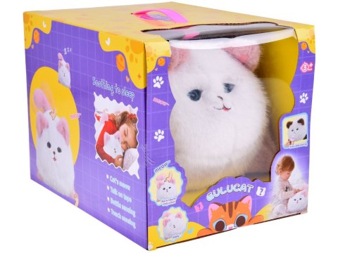 Interaktywna kotka PUSIA - miauczy mruczy i rusza oczkami + nagrywa ZA5480