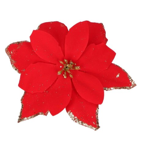 Gwiazda betlejemska POISENCJA kwiat z klipsem