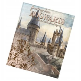 Koc dziecięcy 130x160 Harry Potter (coral) HP235083