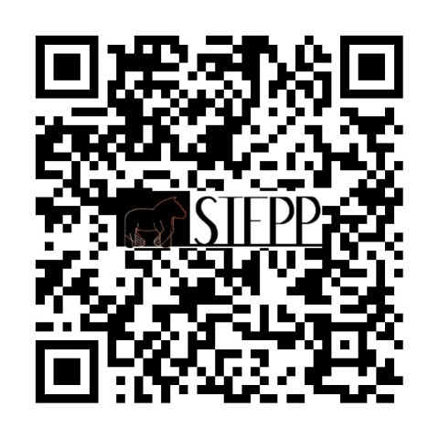 Kolorowanka Welwetowa 29,7x21 Chihuahua