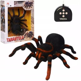 Duży pająk zdalnie sterowany na pilot chodzi jak prawdziwy, duża Tarantula