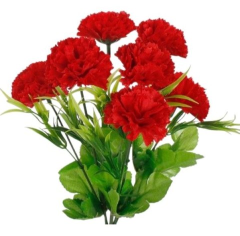 Bukiet goździków goździk czerwony