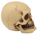 Czaszka Figurka Model Dekoracja Halloween Gadżet Prezent - MC-30683