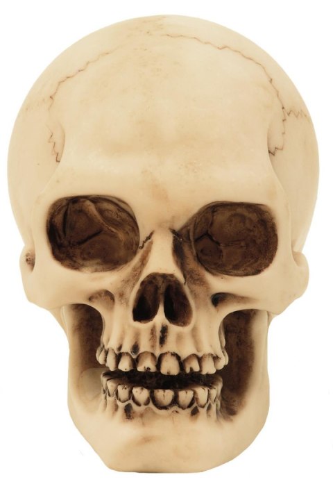 Czaszka Figurka Model Dekoracja Halloween Gadżet Prezent - MC-30683