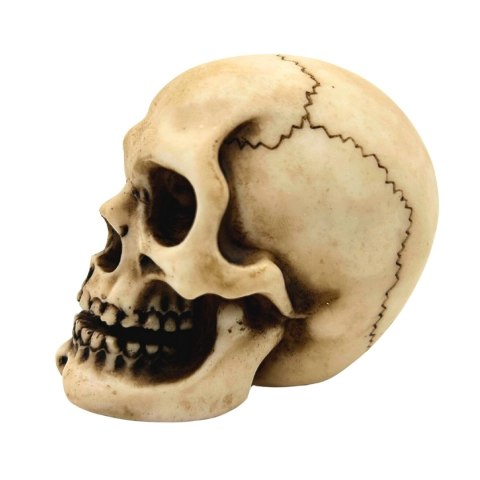 Czaszka Figurka Model Dekoracja Halloween Gadżet Prezent - MC-30683