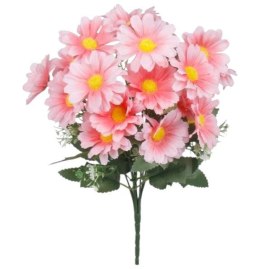Bukiet stokrotek stokrotki różowe h31 STOKROTKA