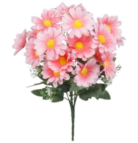 Bukiet stokrotek stokrotki różowe h31 STOKROTKA