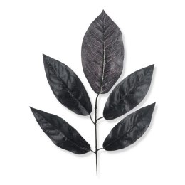 Czarny liść mango h56