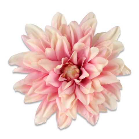 Dalia duża główka wyrobowa śr. 17cm