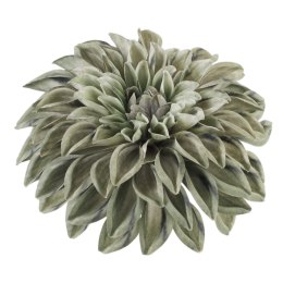 Dalia główka wyrobowa