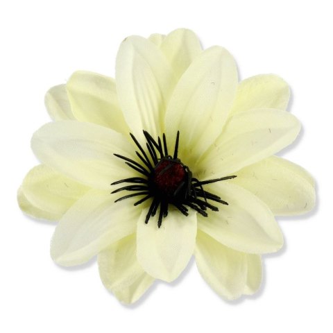 Dalia kremowa wyrobowa główka kwiatowa