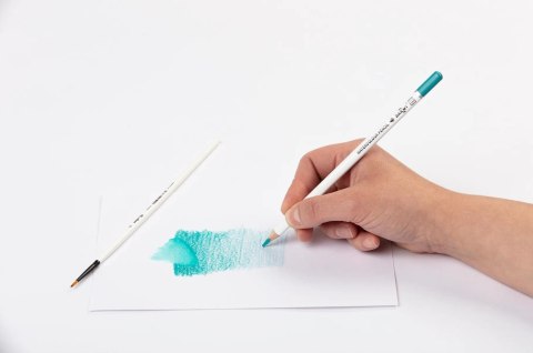 Kredki akwarelowe Darwi 12 kolorów