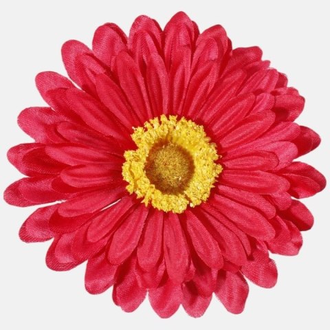 Gerbera gerber czerwona główka wyrobowa