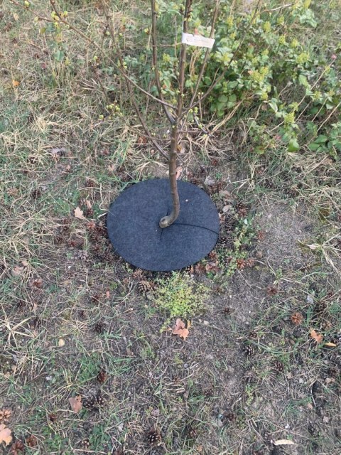 Krążek filcowy zabezpieczający przed chwastami ściółkowanie szary fi 40 cm