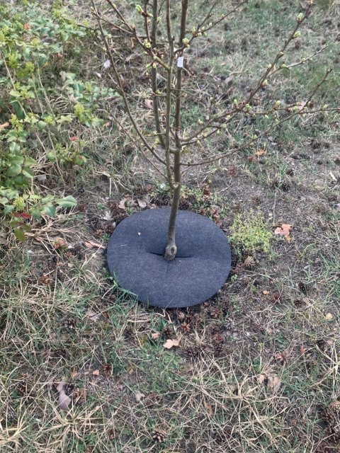 Zestaw krążków przeciwchwastowych 3 szt. ściółkowanie szary fi 33 cm