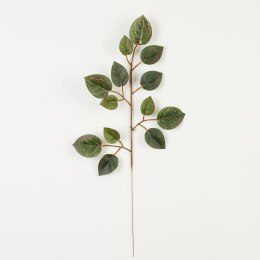 Fikus liść gałązka h50cm