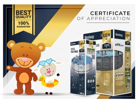 Bestway Basen STELAŻOWY 4,27m x 1,07m 11w1 56950