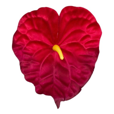 Anturium główka wyrobowa burgund