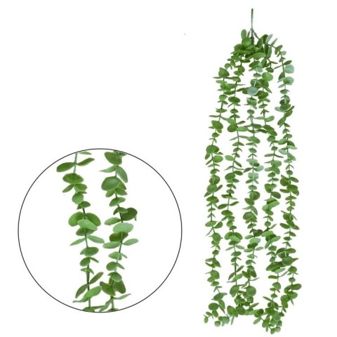 Eukaliptus zwis 74cm