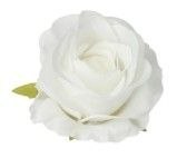 Biała róża vivaldi główka wyrobowa