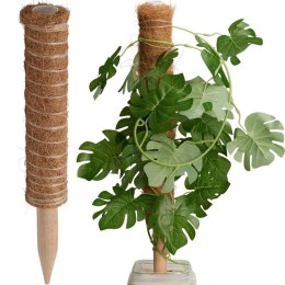 PODPORA DO ROŚLIN KOKOSOWA 50CM