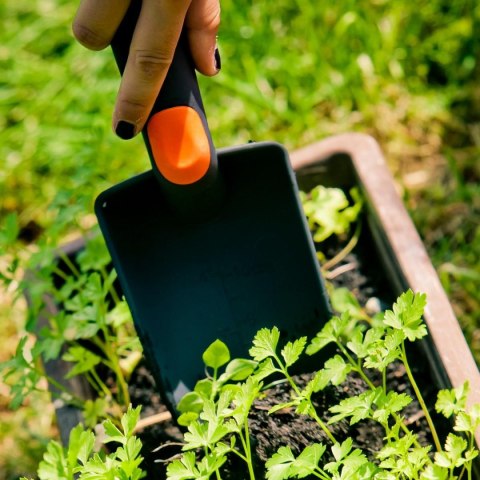 ŁOPATKA OGRODOWA WĄSKA