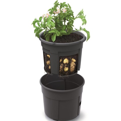 DONICZKA DO SADZENIA ZIEMNIAKÓW 39,2CM