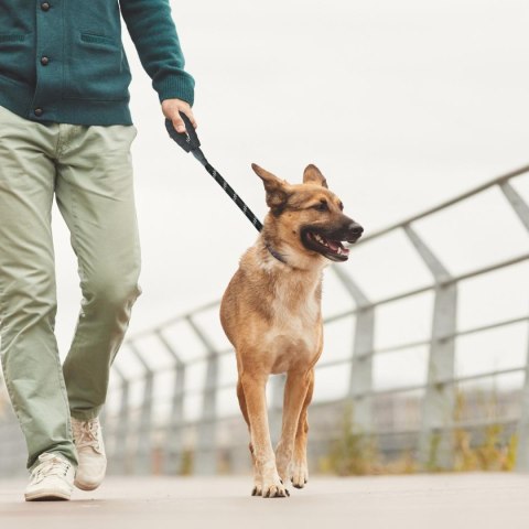 SMYCZ DLA PSA 150x1,2CM Z POJEMNIKIEM