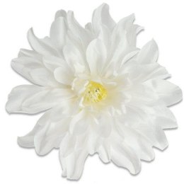 Biała dalia duża główka wyrobowa 17cm