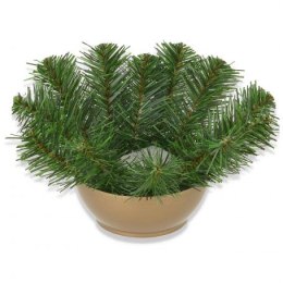 Cemenciak miska z zielonymi gałązkami