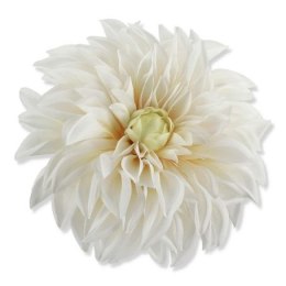 Dalia biało-kremowa 14cm główka wyrobowa