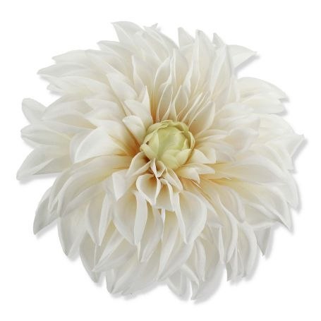 Dalia biało-kremowa 14cm główka wyrobowa