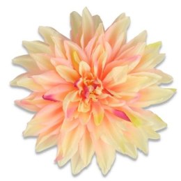 Dalia główka wyrobowa duża 20cm kremowo-różowa