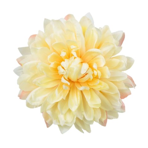 Dalia żółto-kremowa główka satyna 17 cm satynowa
